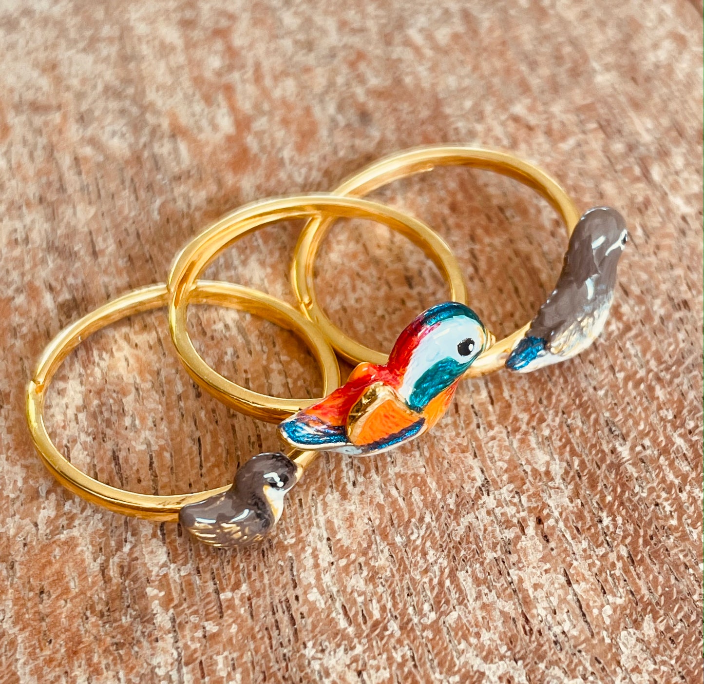 Set Anillos Familia Patos