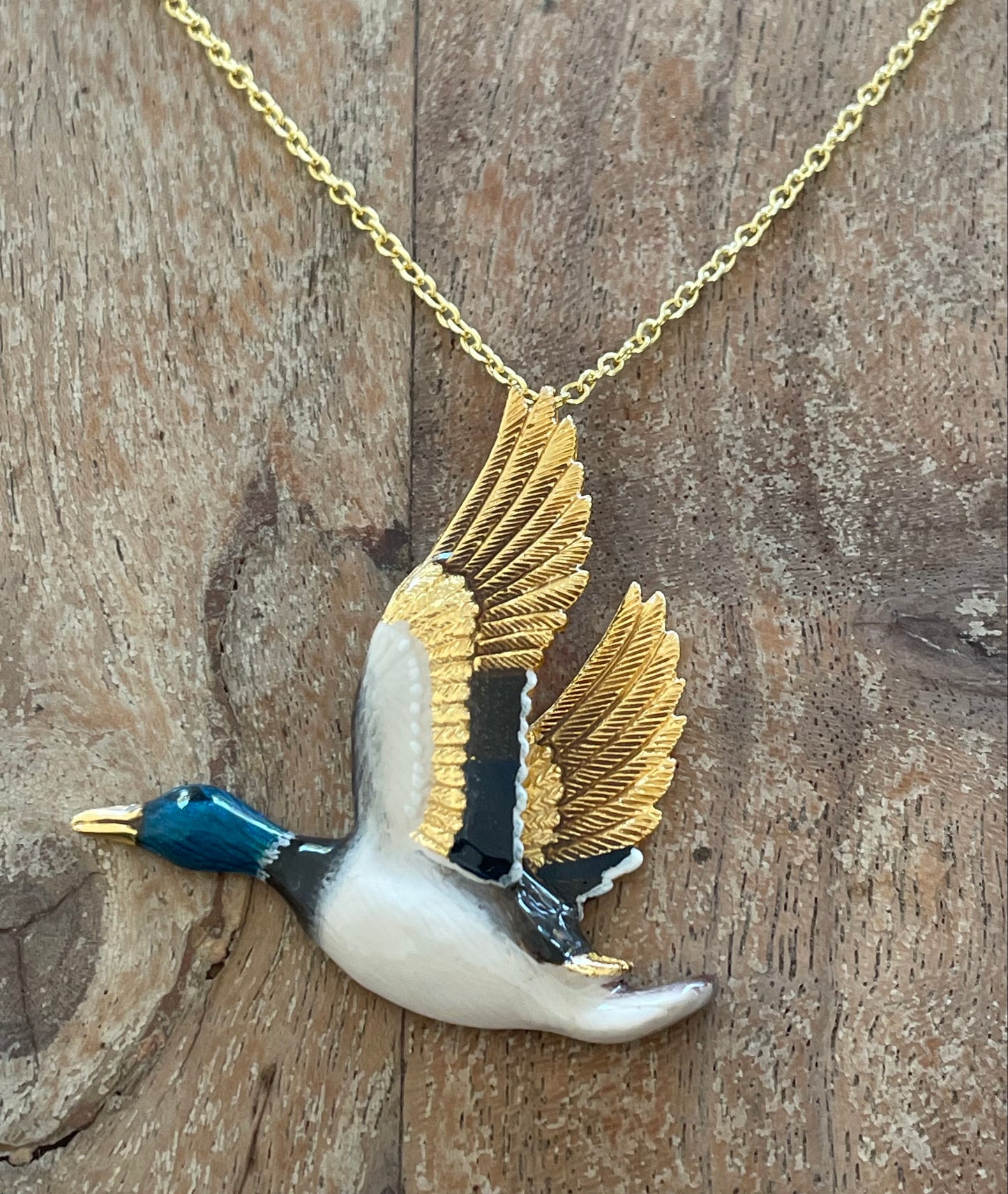 Collar Pato Mallard