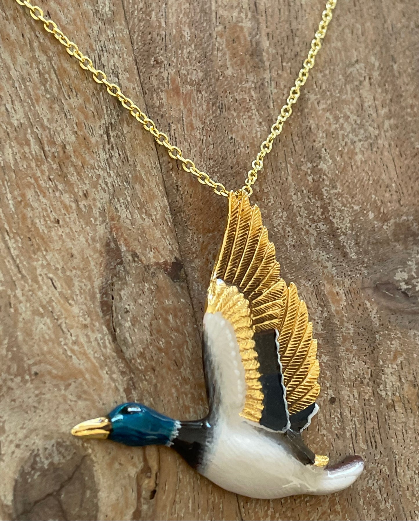 Collar Pato Mallard