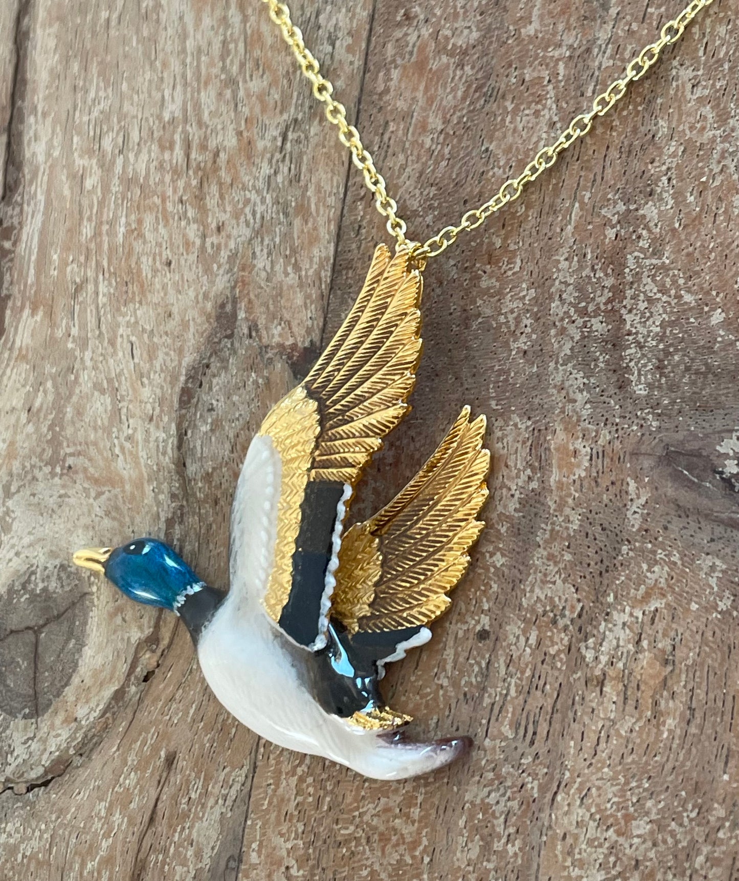 Collar Pato Mallard