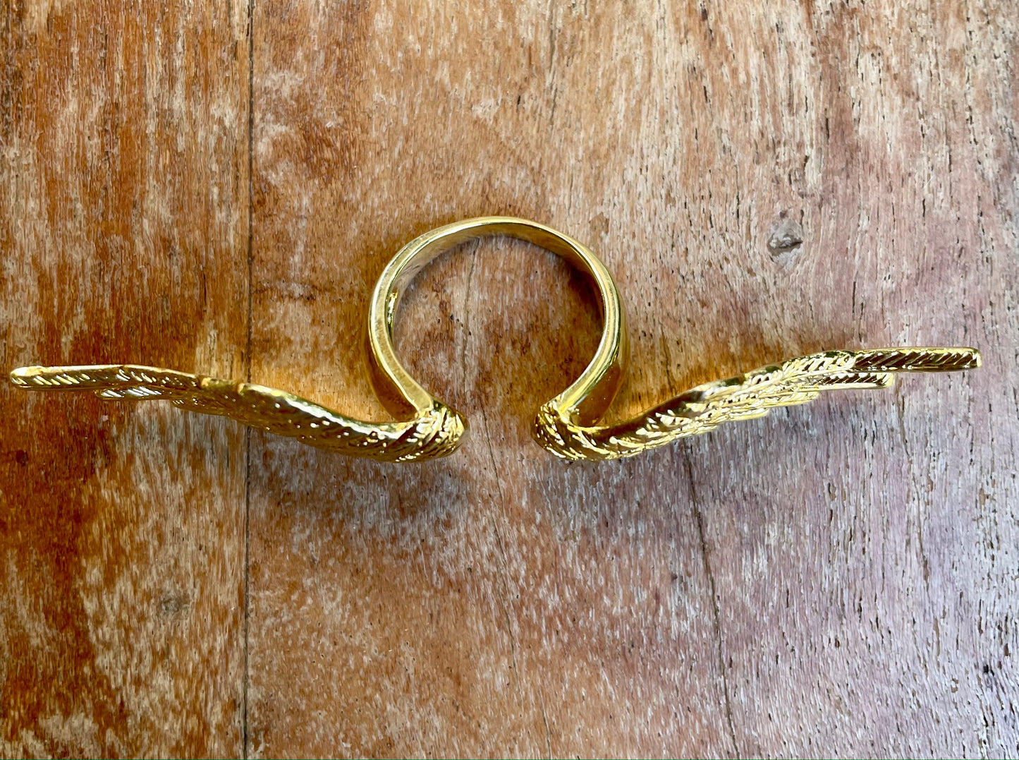 Anillo Alas Angulares