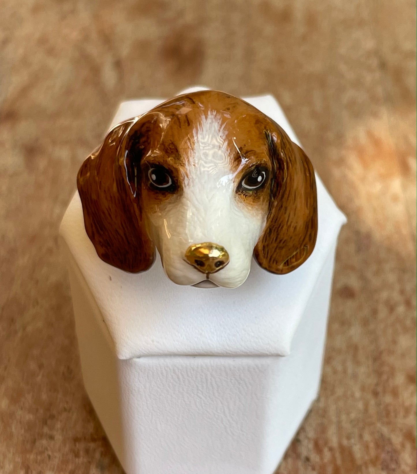 Anillo Beagle