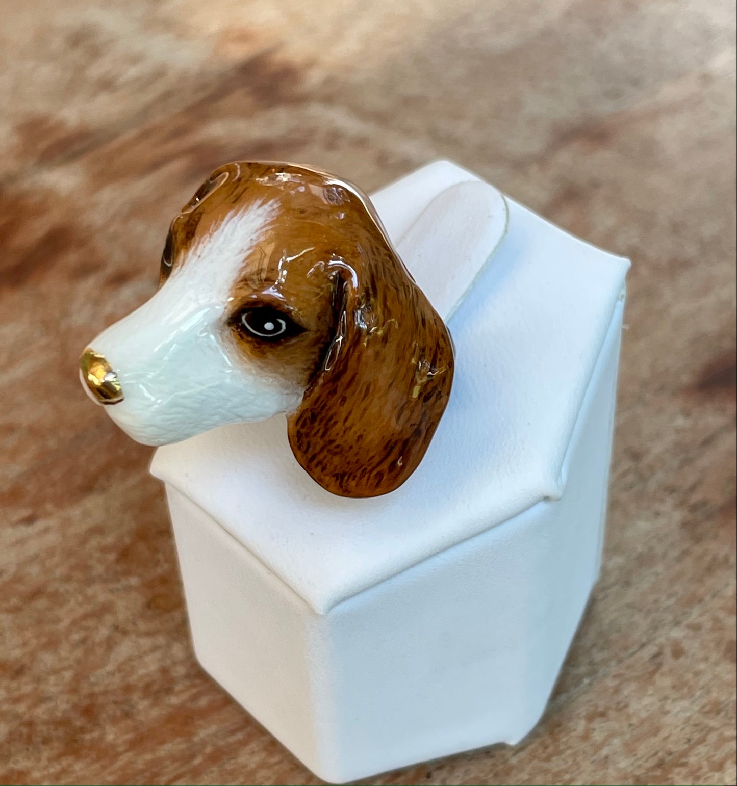 Anillo Beagle