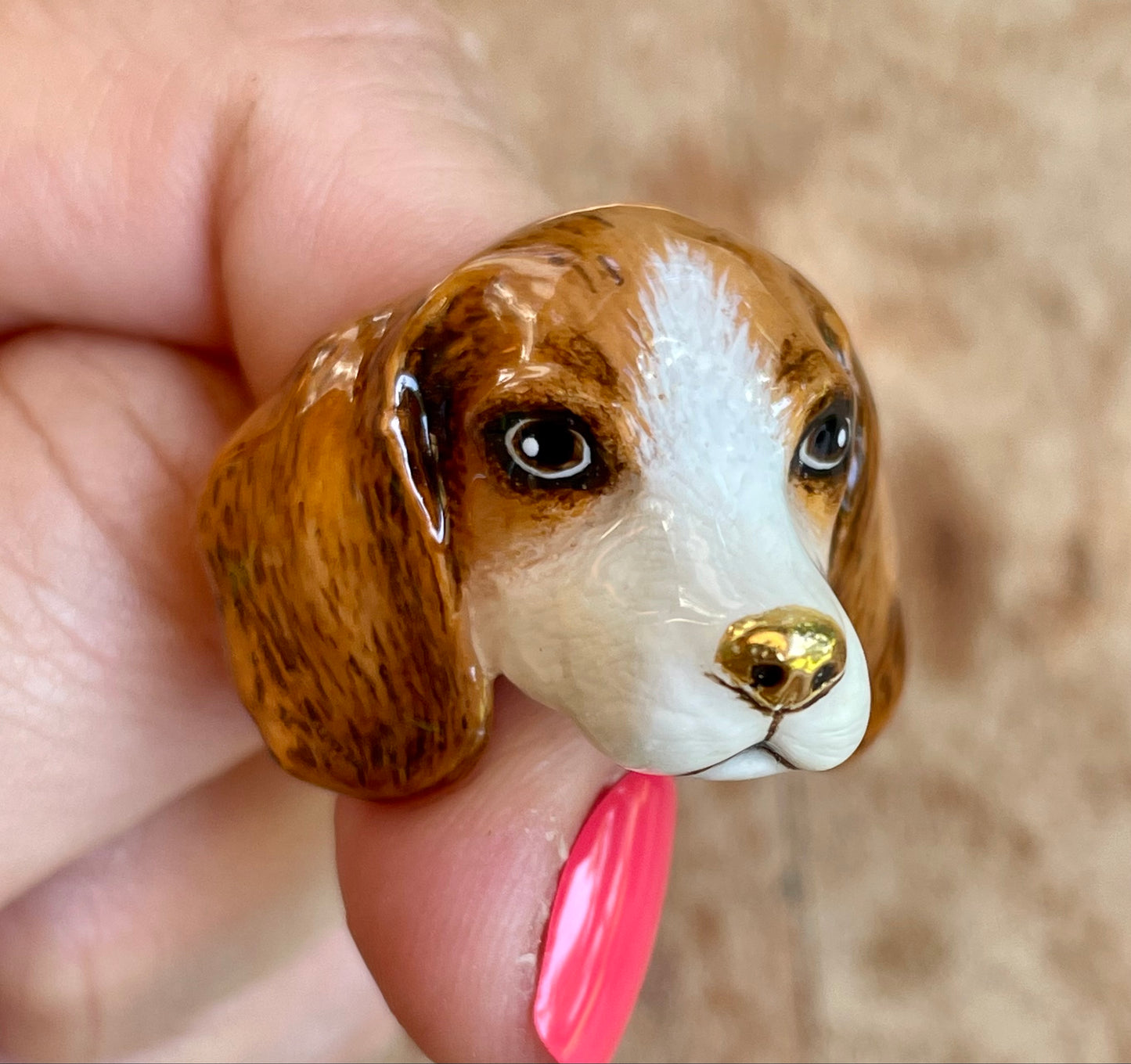 Anillo Beagle