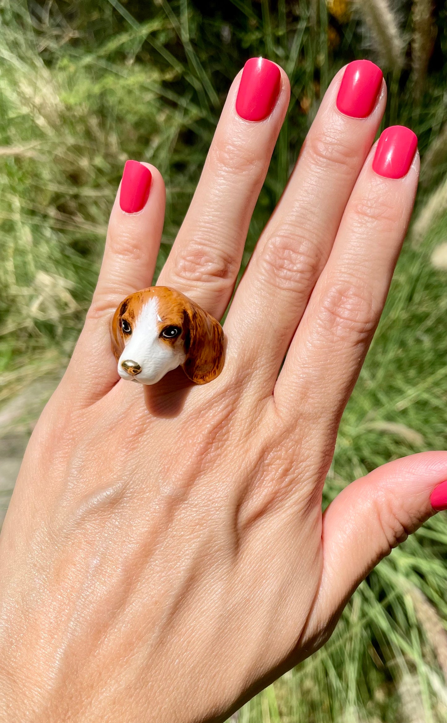 Anillo Beagle