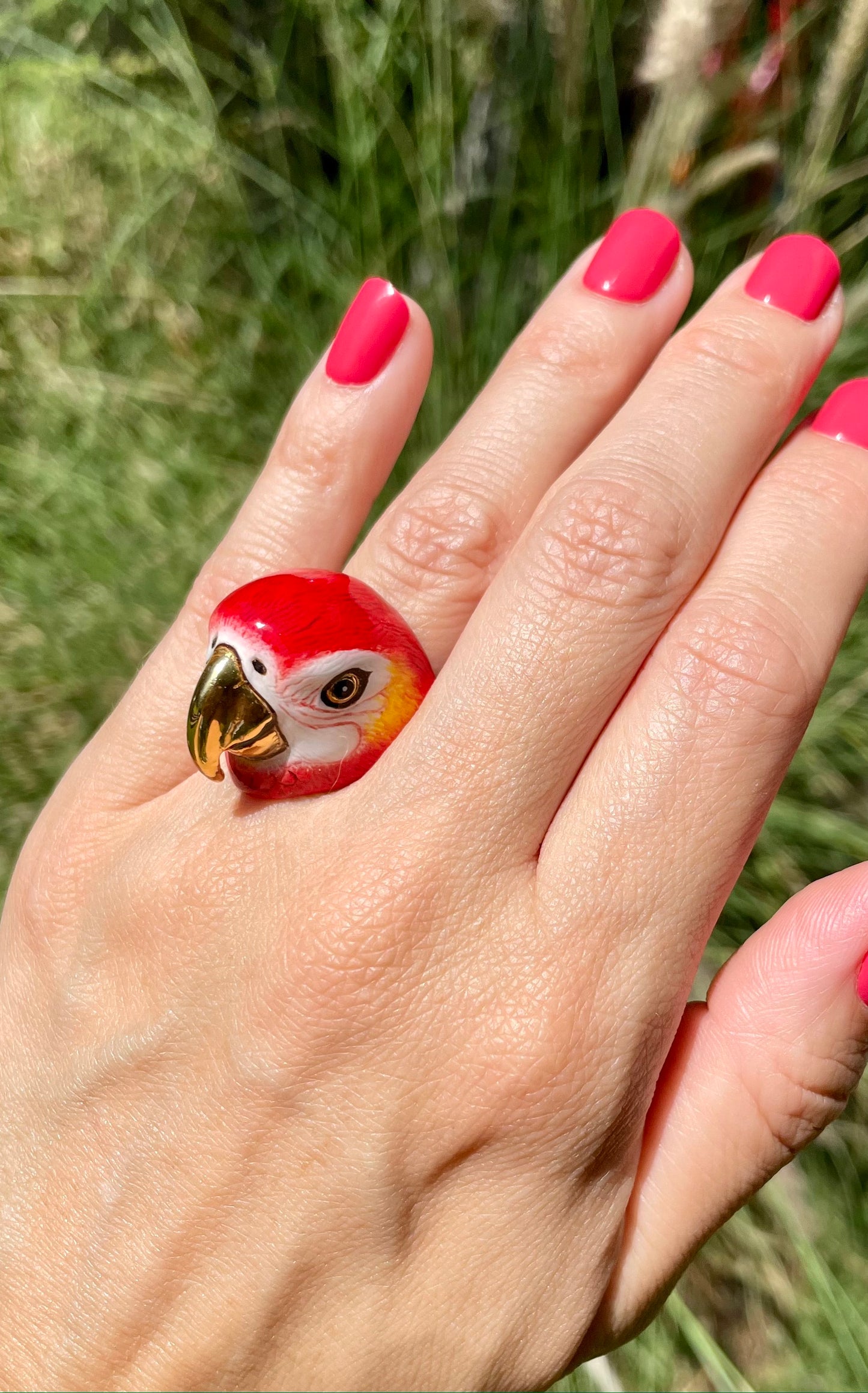 Anillo Guacamayo Escarlata