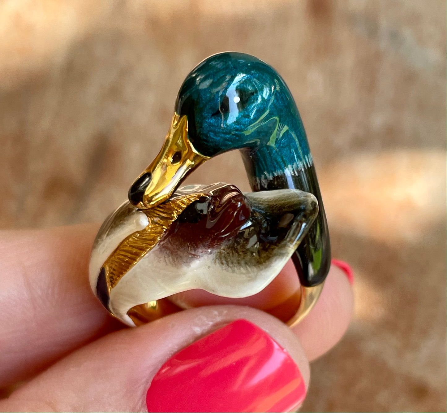 Anillo Pato Mallard