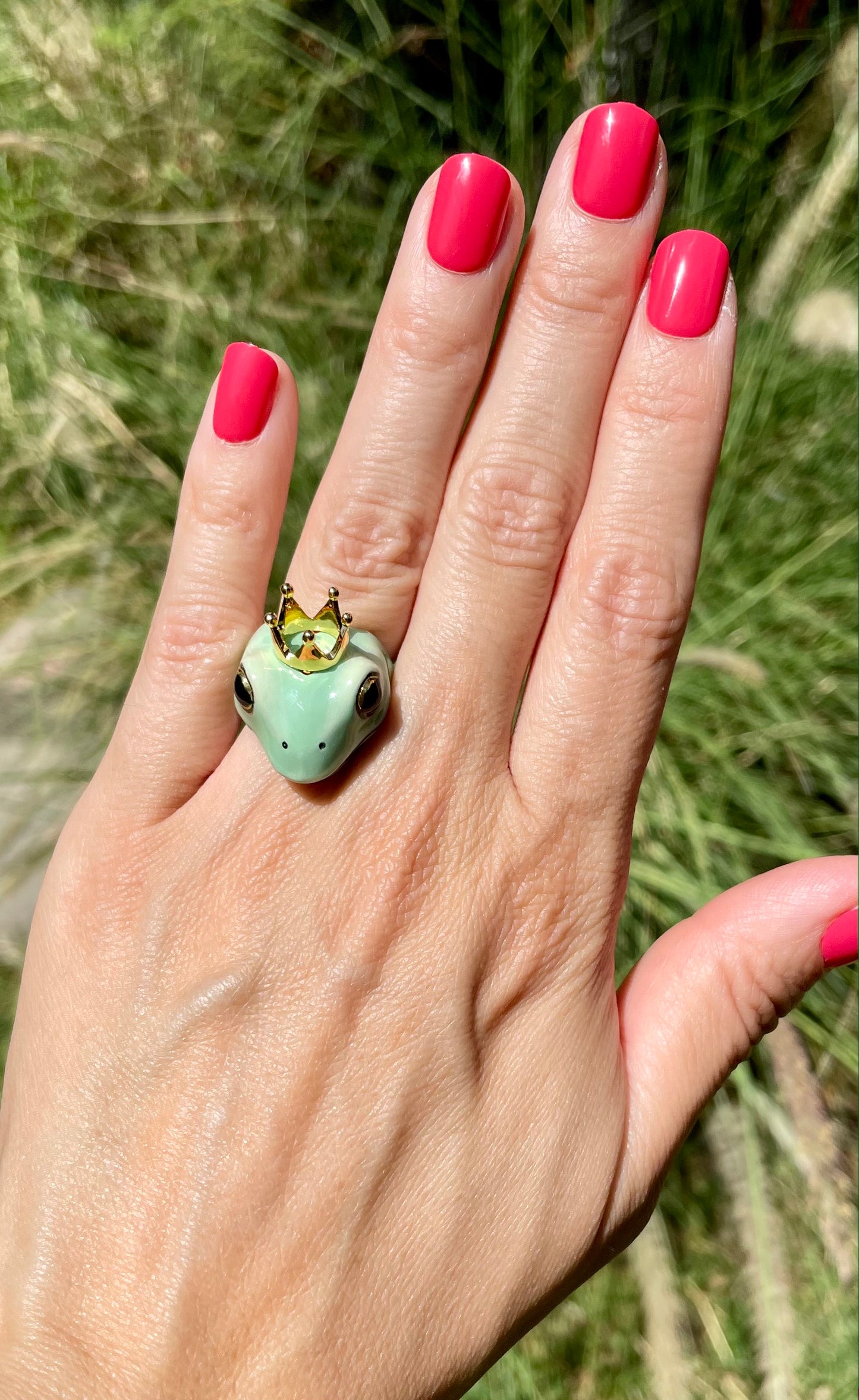 Anillo Príncipe Rana