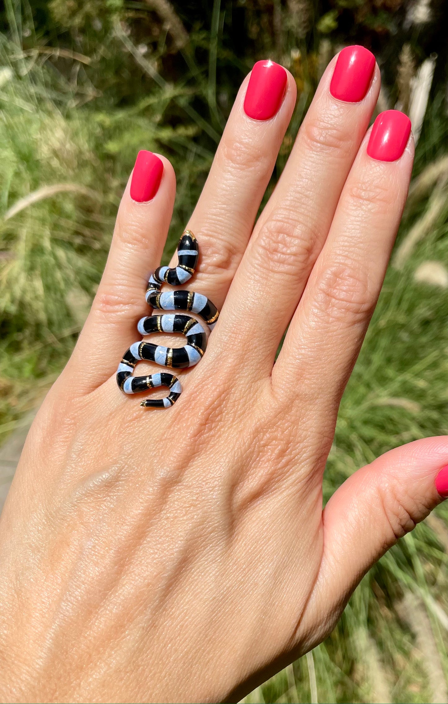 Anillo Serpiente de Mar