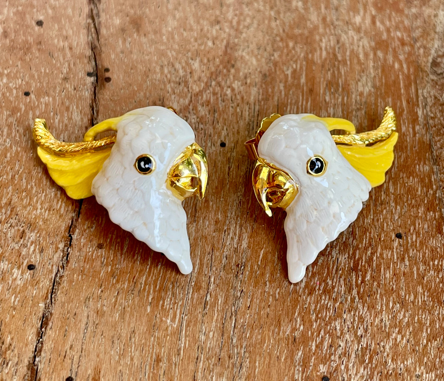 Aros Cacatúa