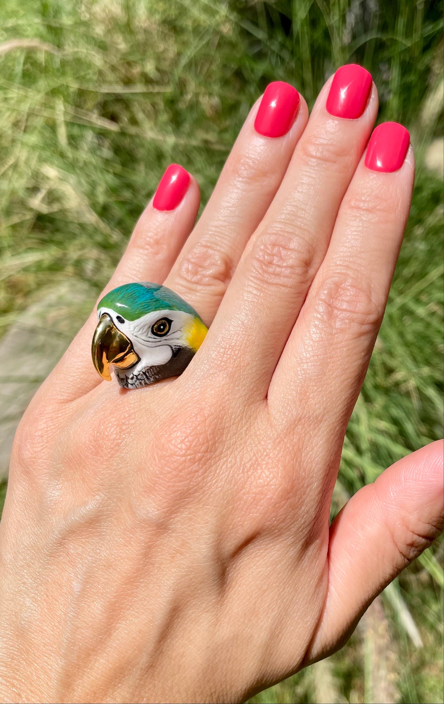 Anillo Guacamayo Arara